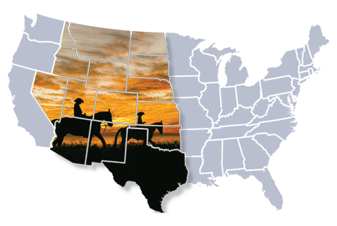 RodeoRegionGraphic